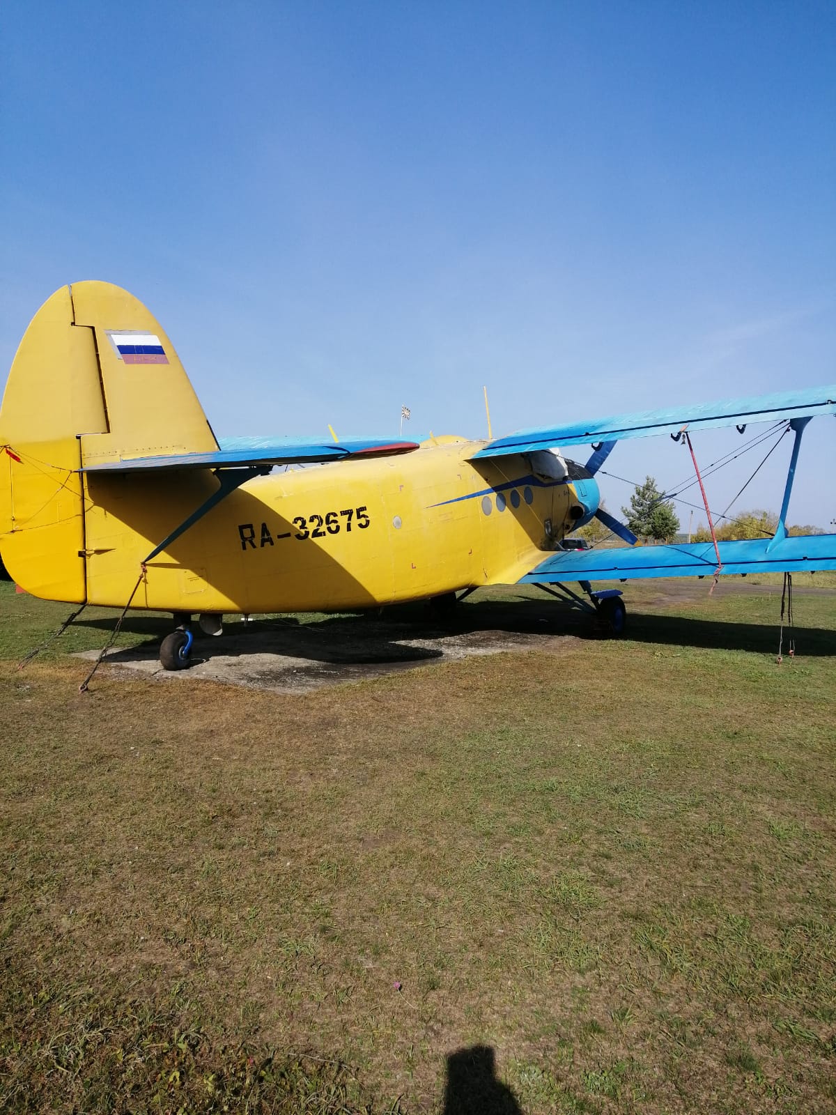 0007931D-A43F-4A80-A2CB-5BB3C1B0AE8C.jpeg 0007931D-A43F-4A80-A2CB-5BB3C1B0AE8C.jpeg