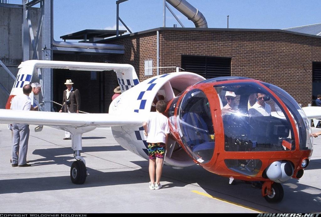 1196125 (Large).jpg