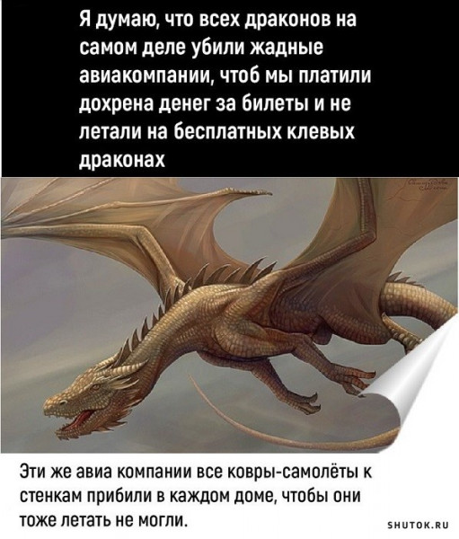 1787416426743.png