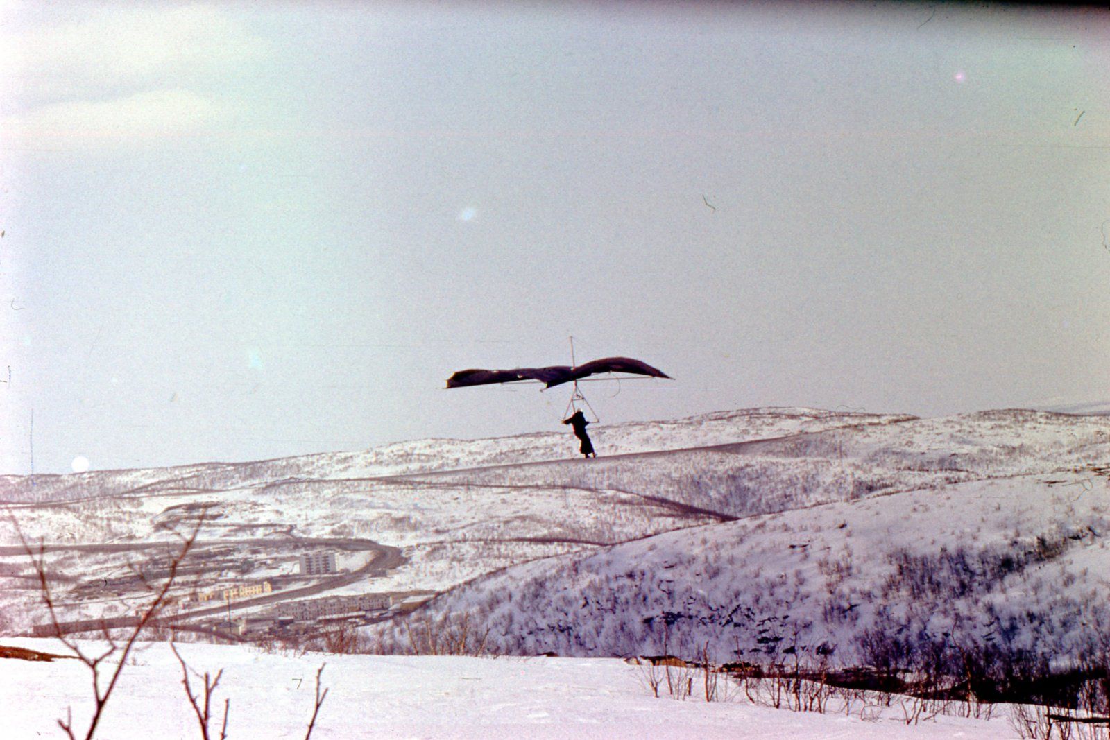 1979724.jpg