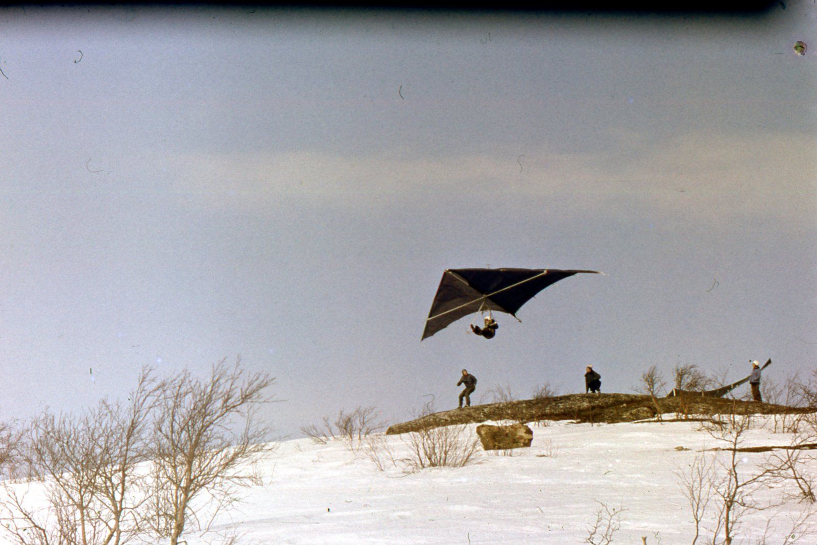 1979741.jpg