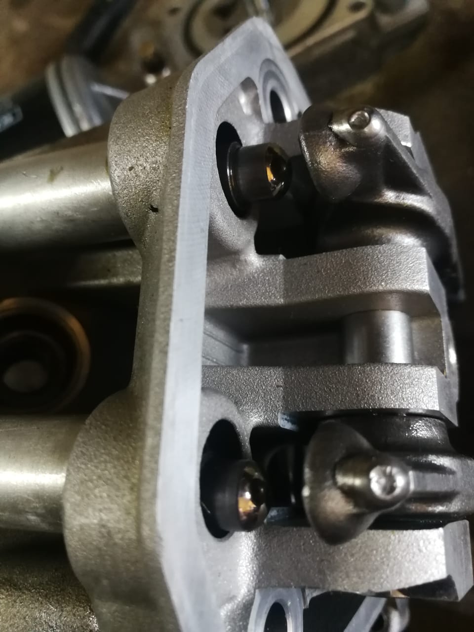 1bf73077-191f-4267-9a9c-12ce67e53dab.jpg 1bf73077-191f-4267-9a9c-12ce67e53dab.jpg