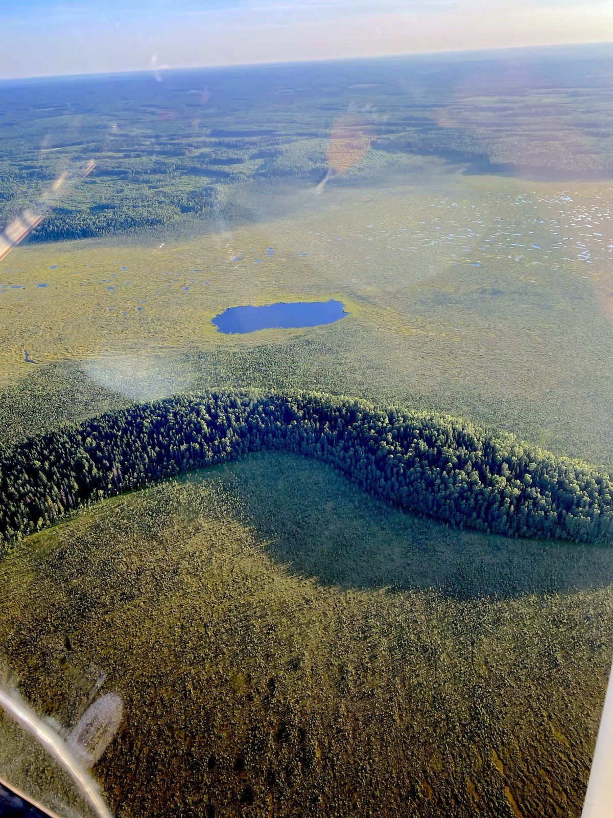 1Болота1.jpg