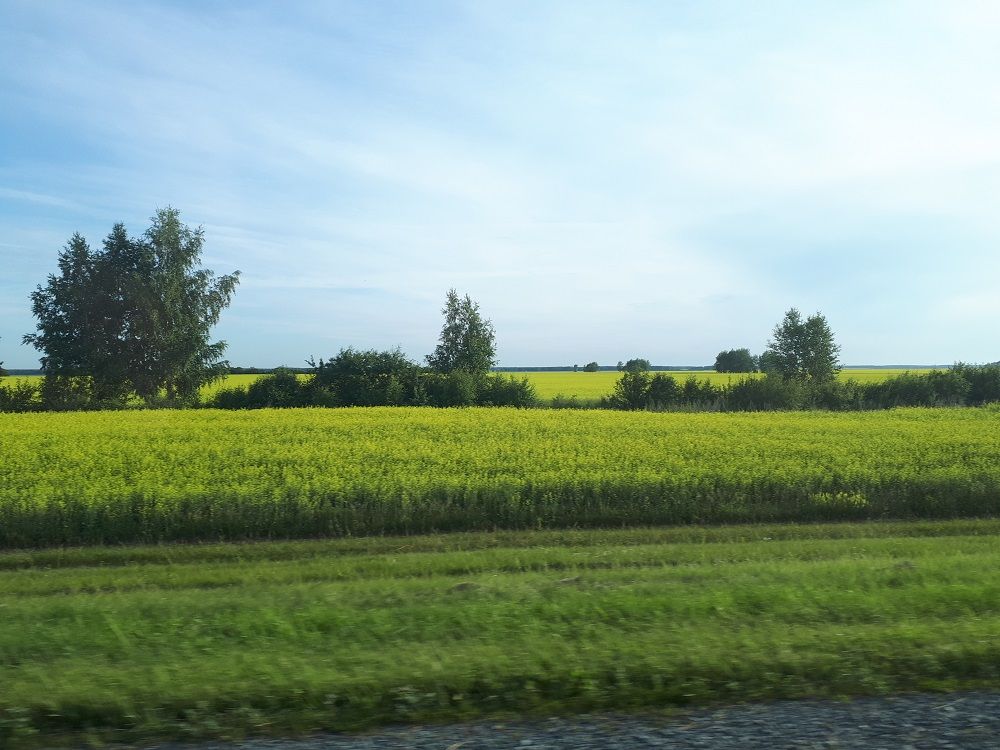 20190712_110635.jpg