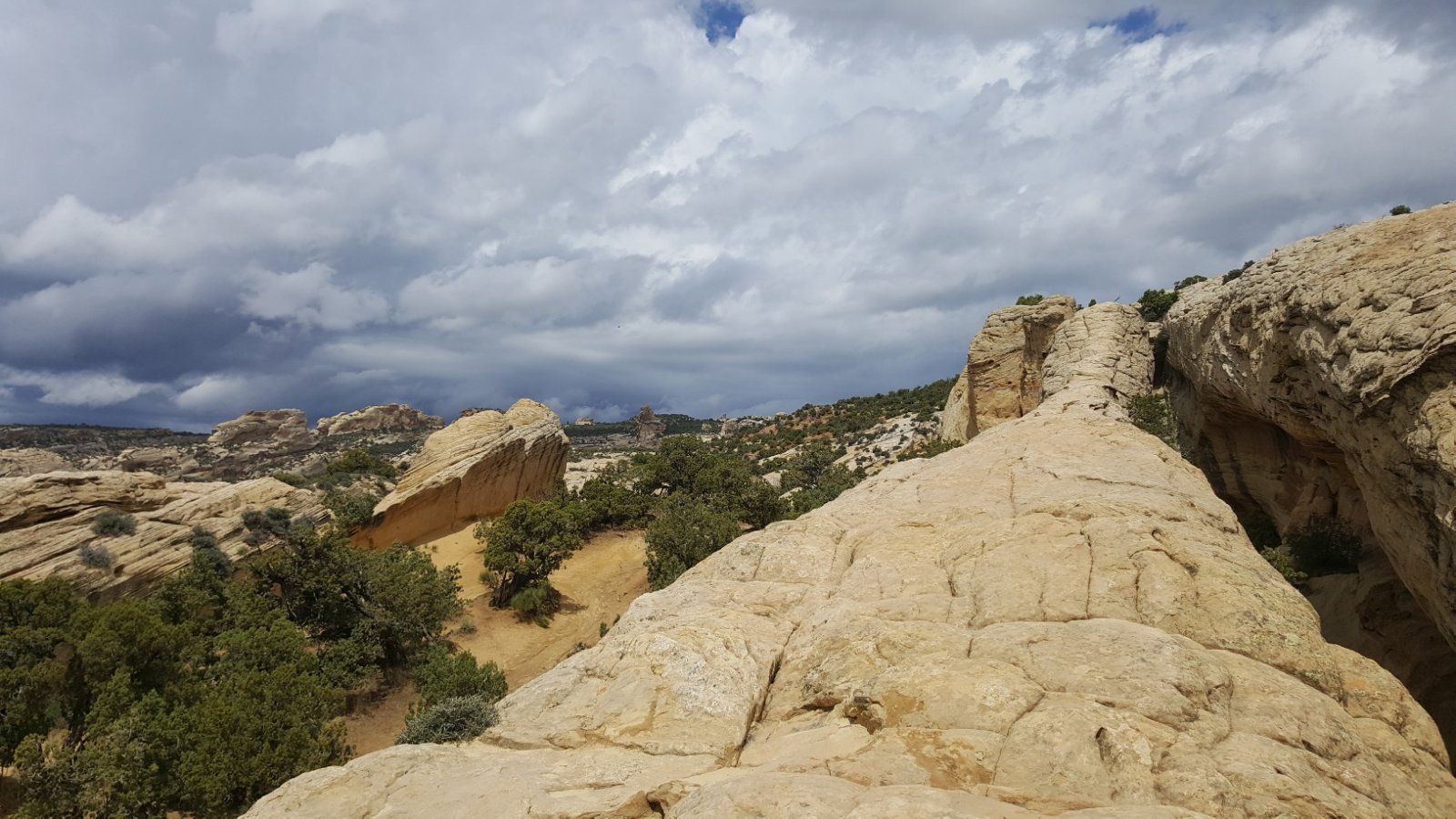 20200607_140330_resized.jpg 20200607_140330_resized.jpg