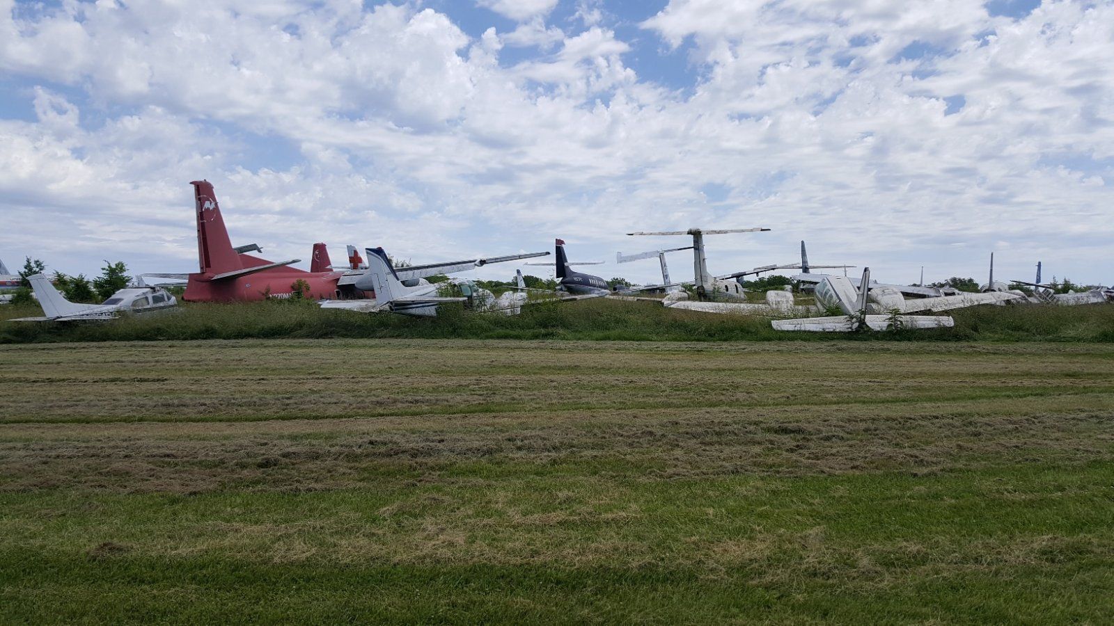 20200612_141602_resized.jpg 20200612_141602_resized.jpg