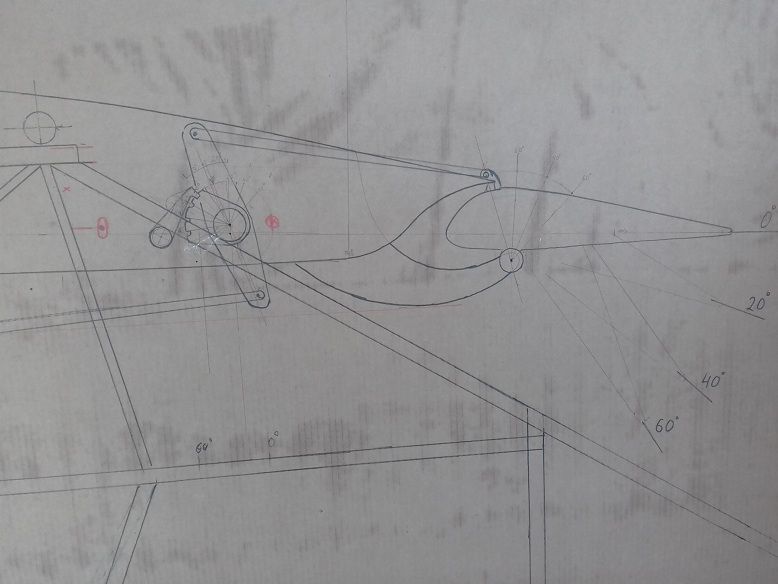20210312_113043.jpg