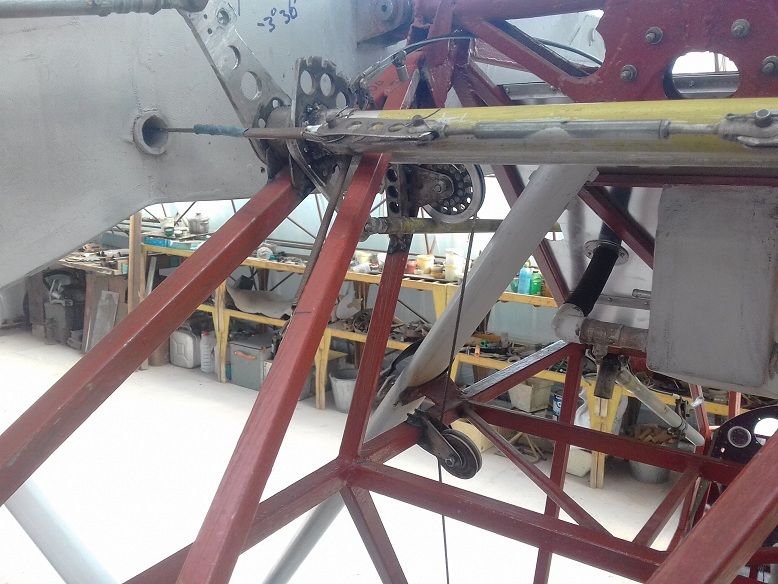 20210312_114543.jpg