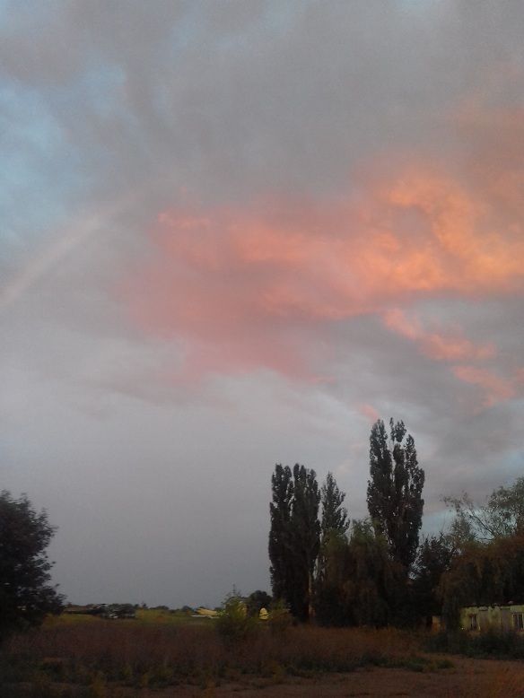 20210705_202000.jpg