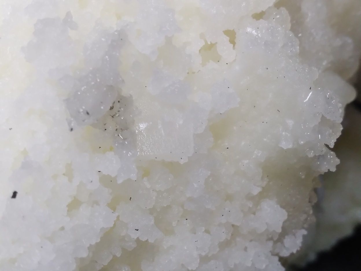 20240422_153145.jpg