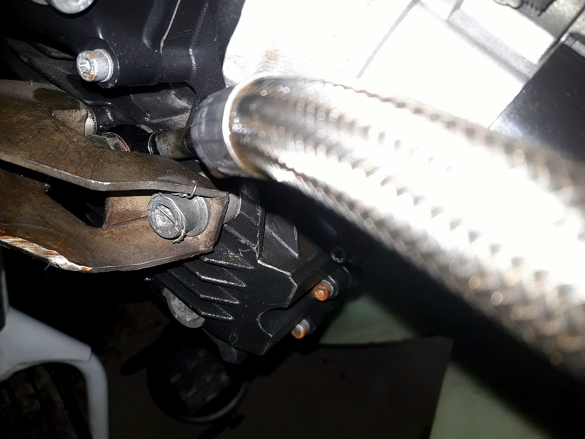 20241105_174541 1.JPG 20241105_174541 1.JPG