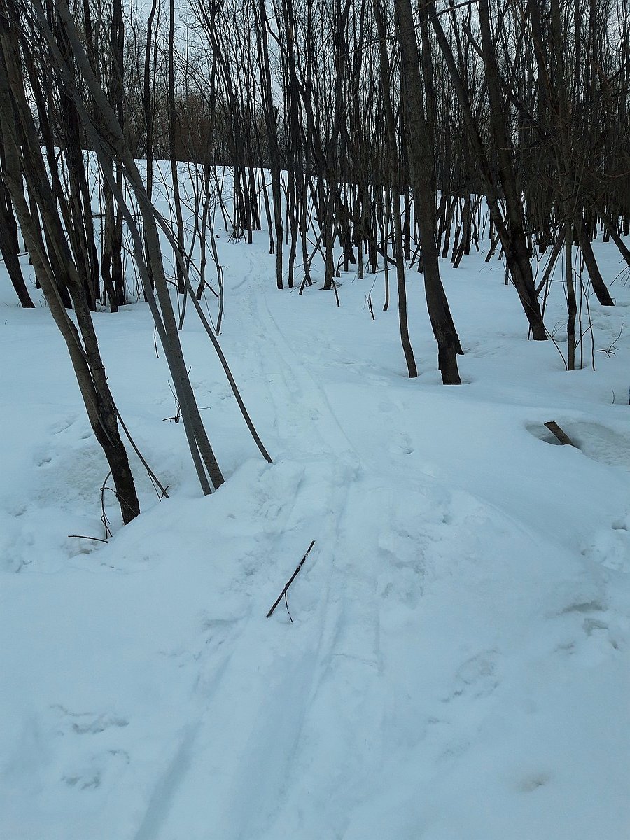 20250424_181404-1.JPG