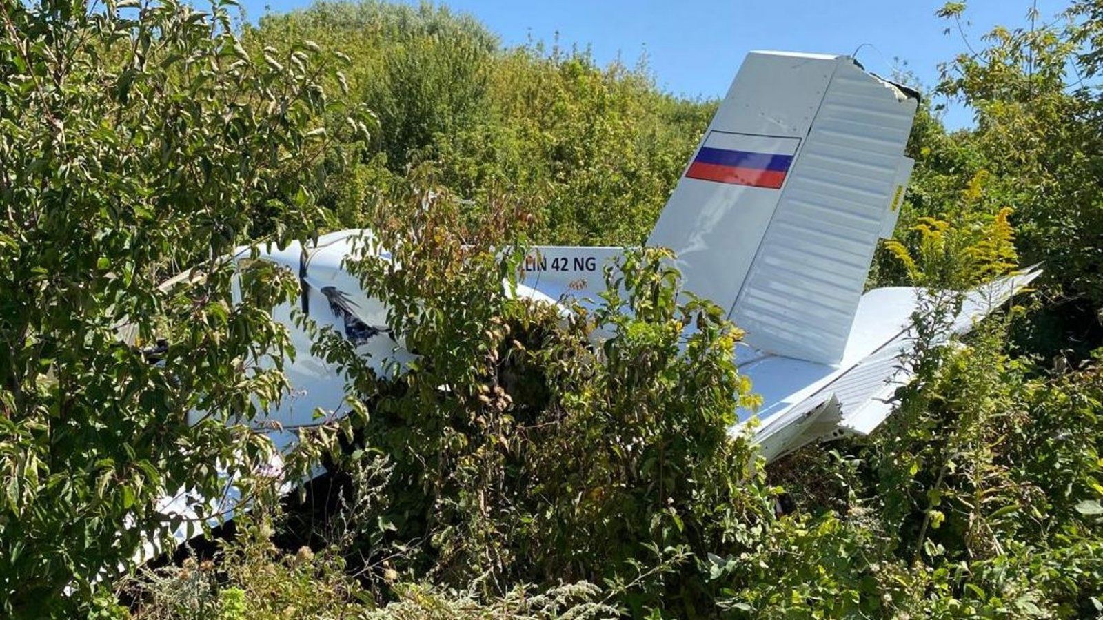 55uU-PGWOBs.jpg 55uU-PGWOBs.jpg