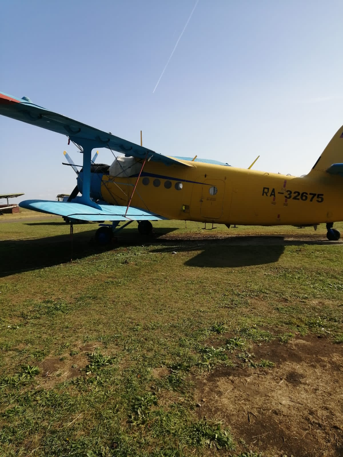 8262BF23-0024-406E-B680-392EDD7B5EA3.jpeg 8262BF23-0024-406E-B680-392EDD7B5EA3.jpeg