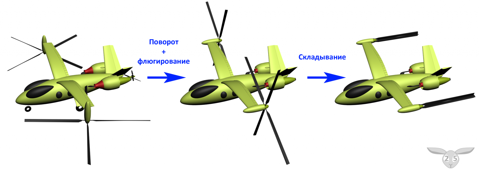 c1a.png