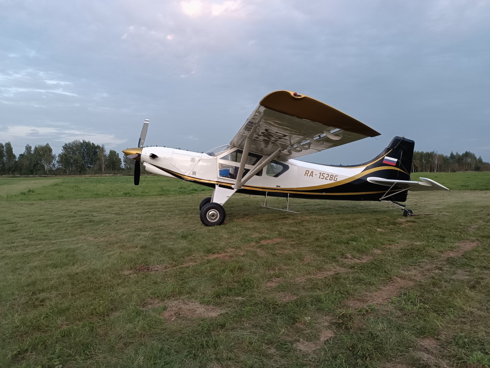 черный хвост.jpg