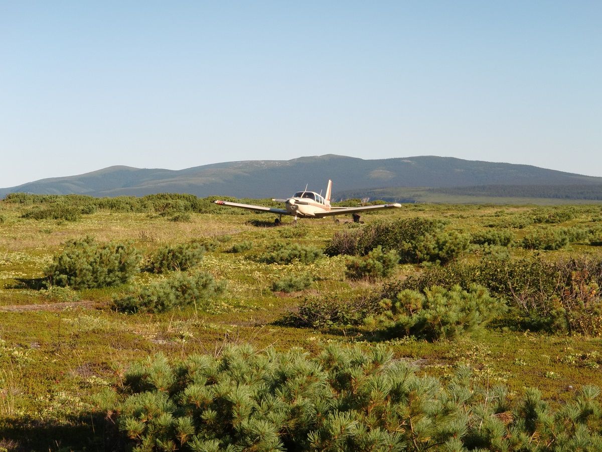 CIMG5835.JPG