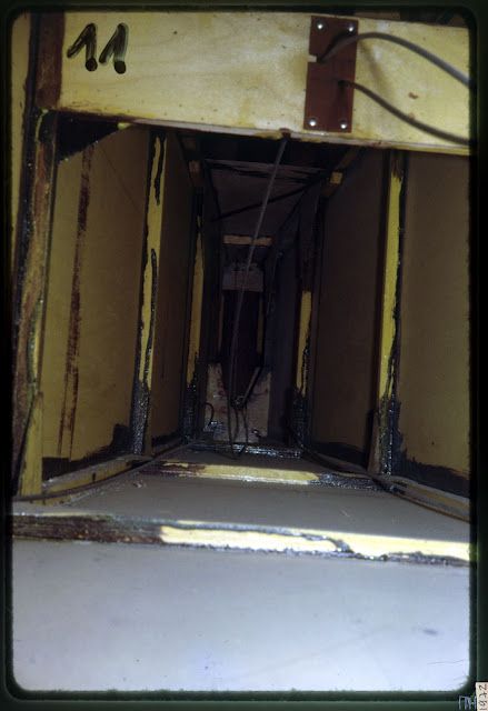Colibri_011.jpg