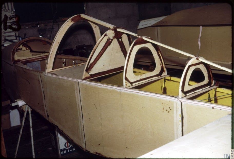 Colibri_013.jpg