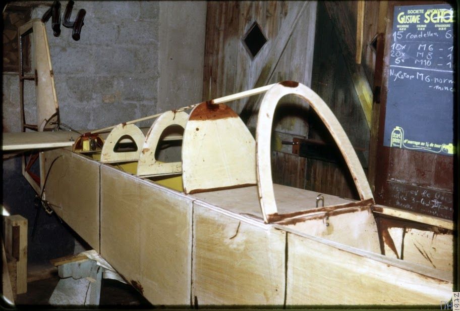 Colibri_014.jpg