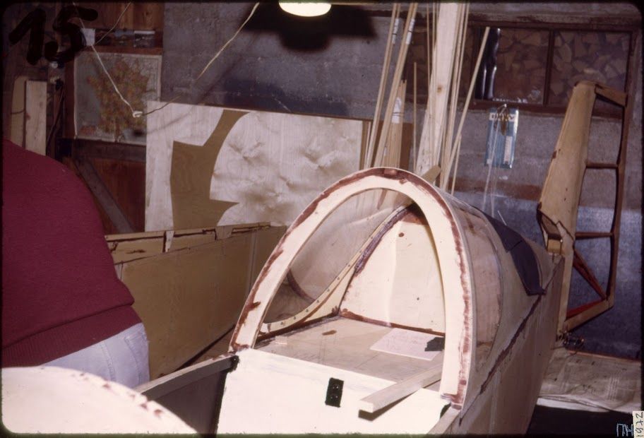 Colibri_015.jpg