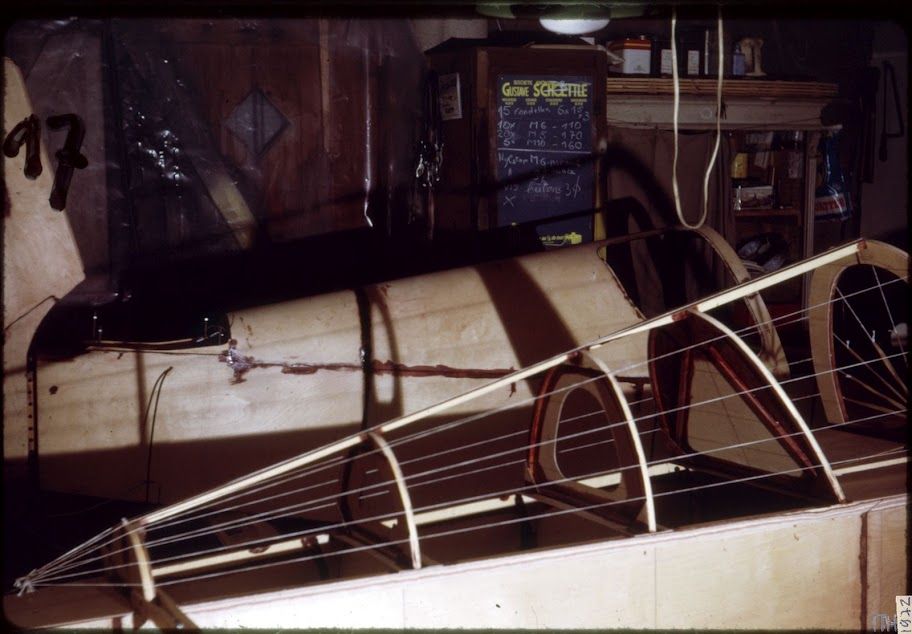 Colibri_017.jpg