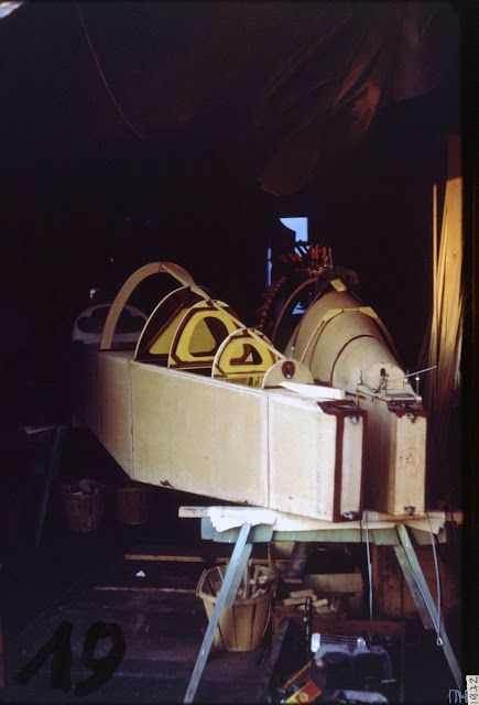 Colibri_019.jpg