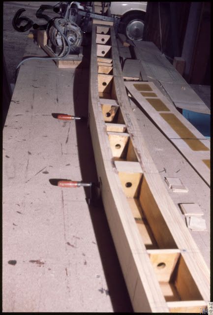 Colibri_065.jpg