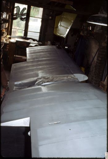 Colibri_096.jpg