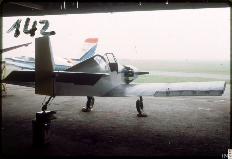 Colibri_142.jpg