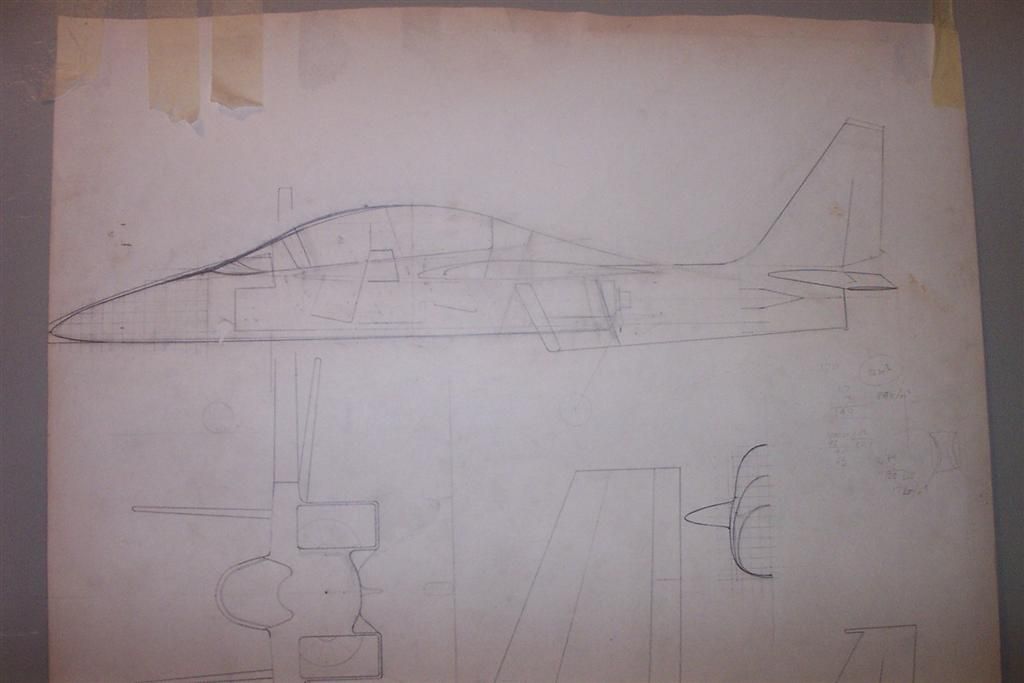 DCP_4950 (Large).jpg