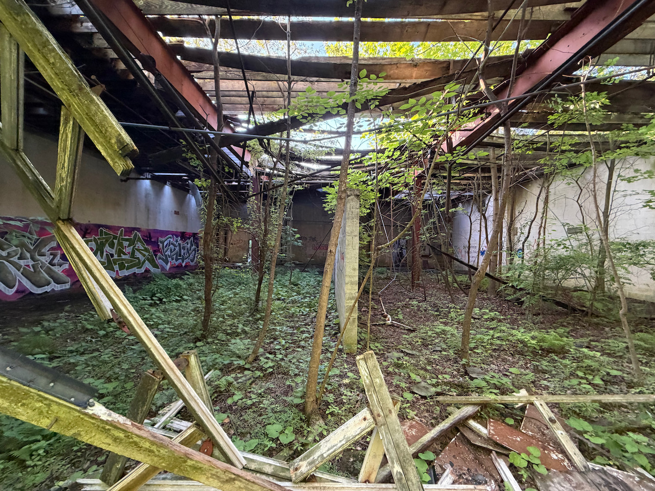 Delapidated FS building - 1.jpeg
