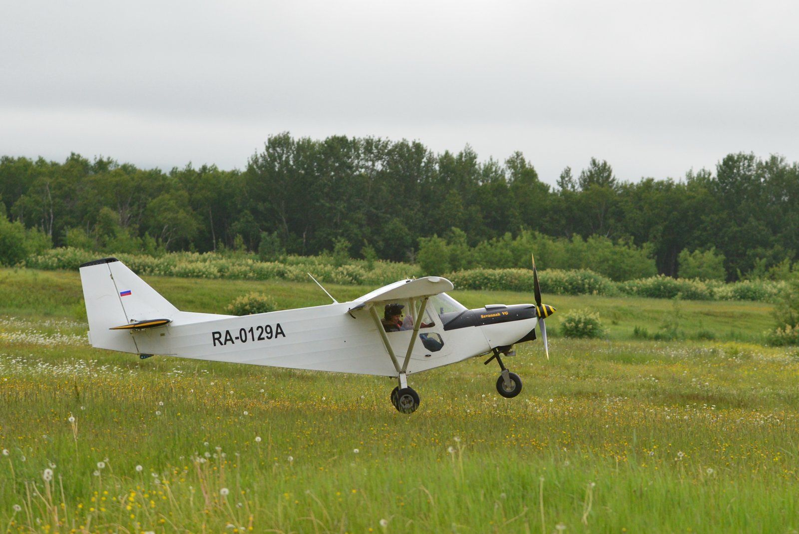 DSC_0237.JPG