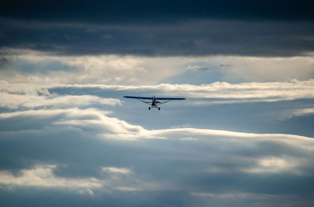 DSC_7809.jpg DSC_7809.jpg