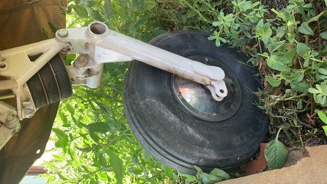 E6D70040-9290-4AB2-A39F-CEC4D4ADB064.jpeg