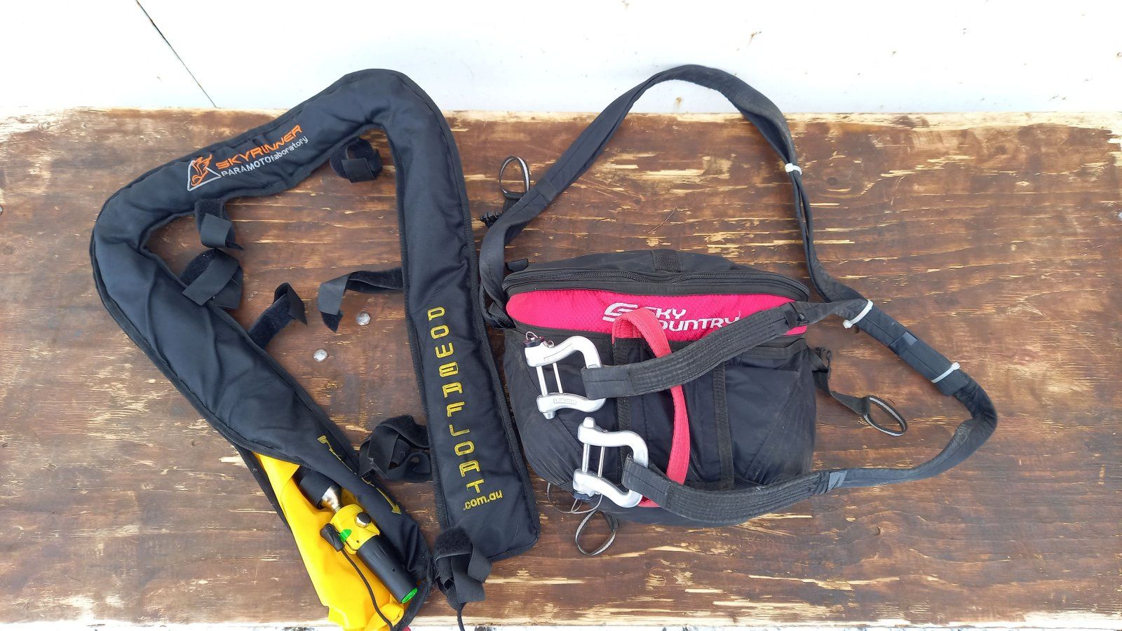 фото запаски и агамы.jpg фото запаски и агамы.jpg