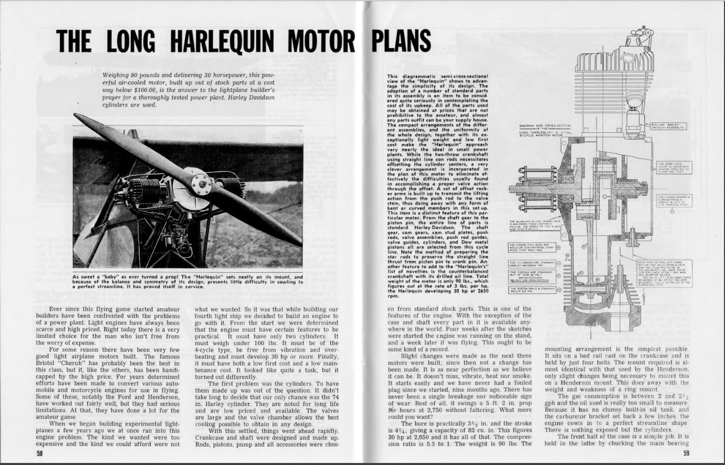 harlequin1.jpg