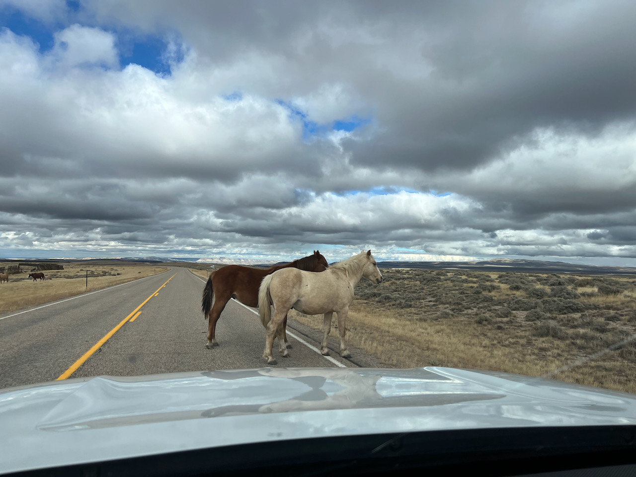 heading for oxygen - 1 (1).jpeg