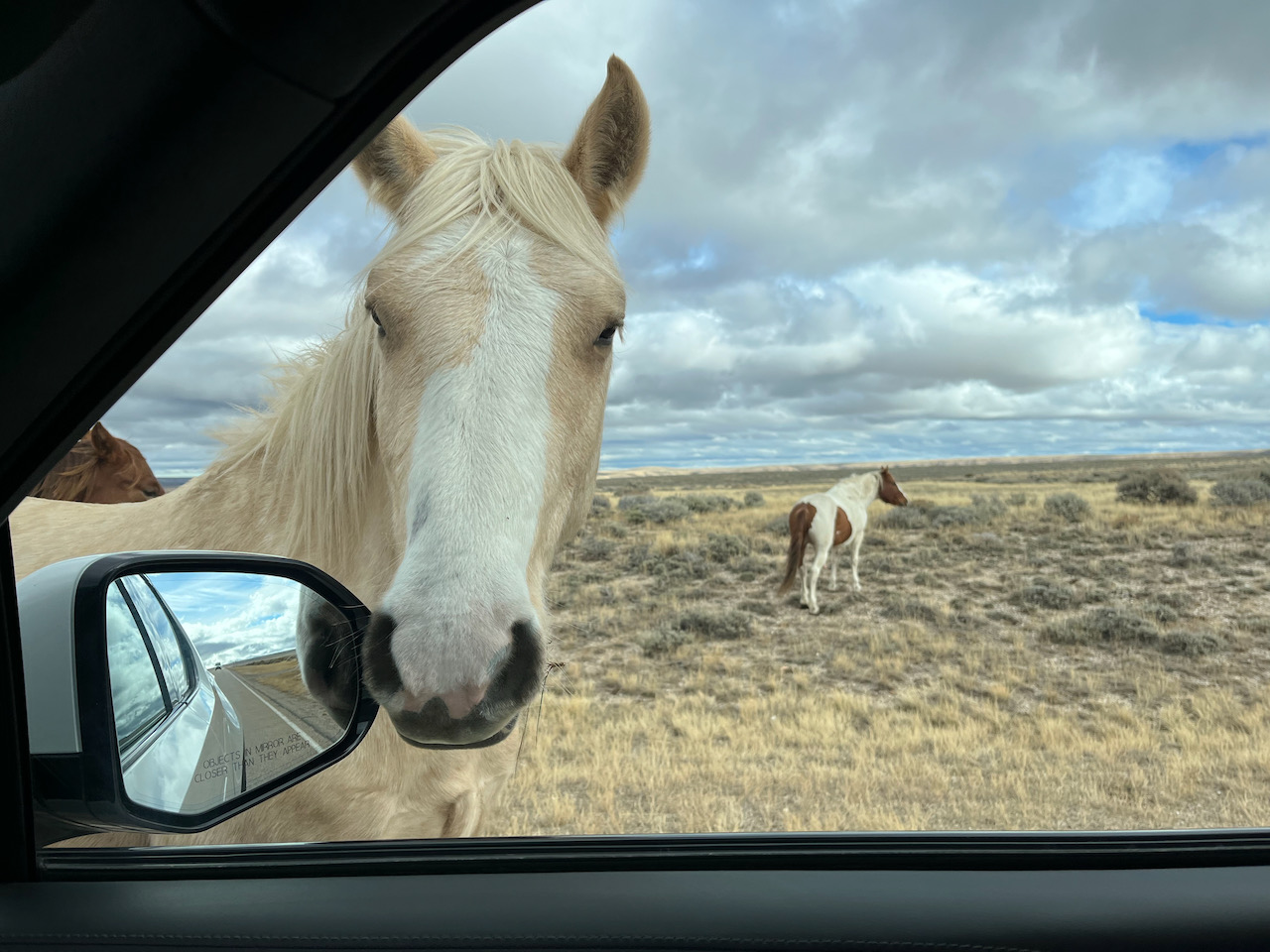 heading for oxygen - 1 (2).jpeg