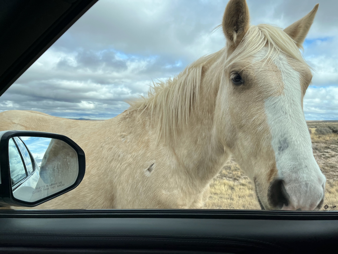 heading for oxygen - 1 (3).jpeg