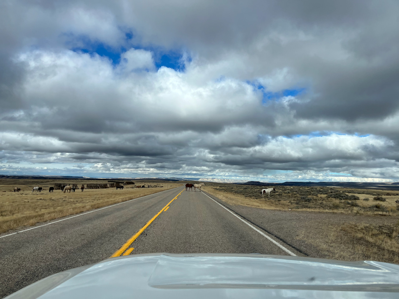 heading for oxygen - 1.jpeg