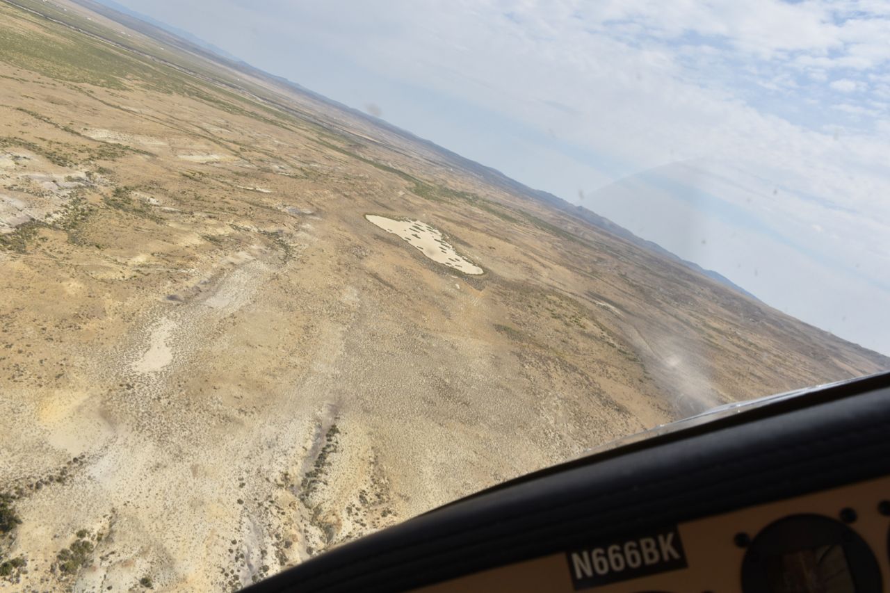 Heading home - 1 (1).jpg