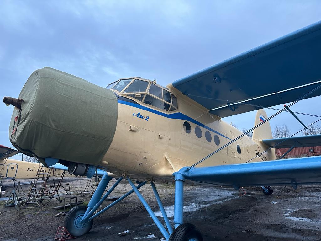 IMG-20230709-WA0017.jpg IMG-20230709-WA0017.jpg