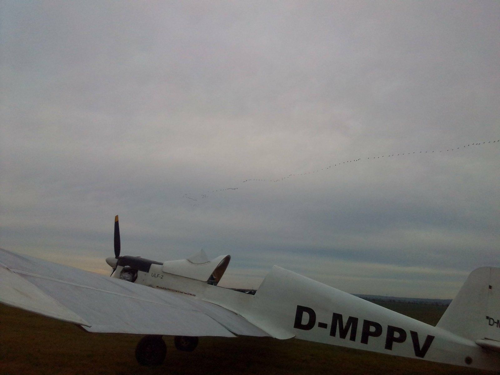 IMG_20201205_134225a.jpg