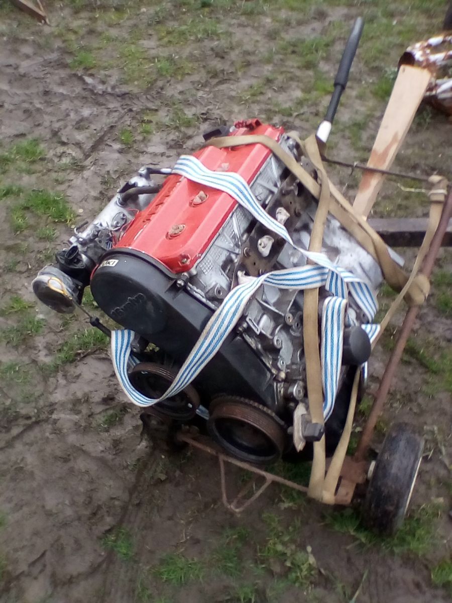 IMG_20220301_170733.jpg IMG_20220301_170733.jpg