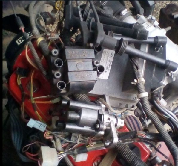 IMG_20220307_084027.jpg IMG_20220307_084027.jpg