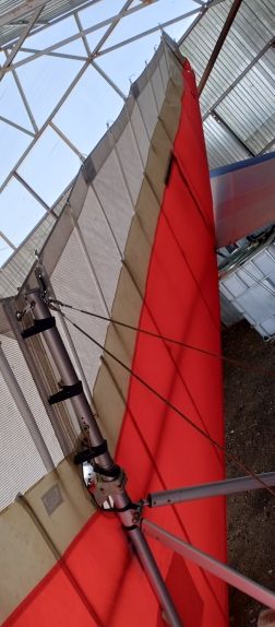 IMG_20240313_130100_536.jpg IMG_20240313_130100_536.jpg