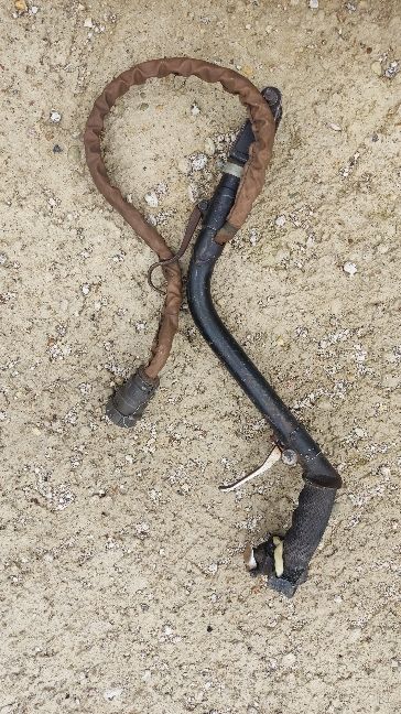 IMG_20240820_152456.jpg IMG_20240820_152456.jpg