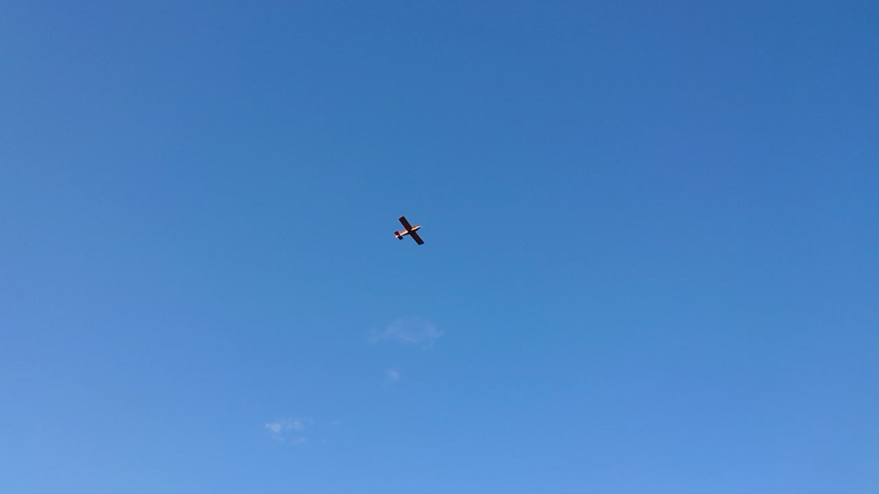 IMG_20250710_112954_828.jpg
