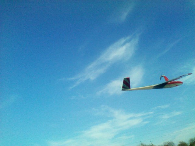 IMG_20260625_085031.jpg